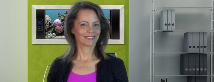 App of the Week - Zip- question answer for personal, buisness, family