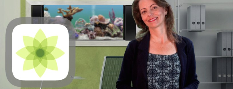 App of the Week - Moment - manage amount of time on phone