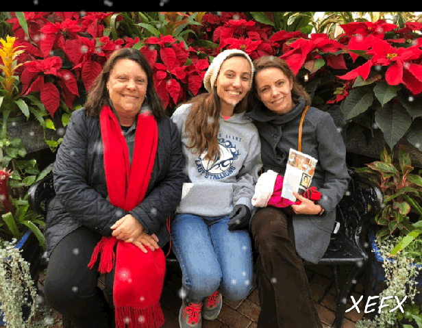 How to animated effects to your photos in a snap