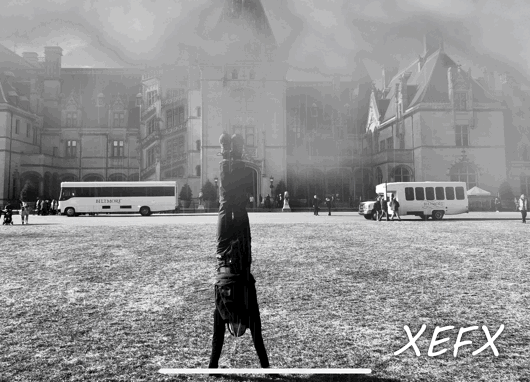 Add Special Effects and Animation to your Photos